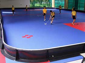 Indoor Floor Hockey