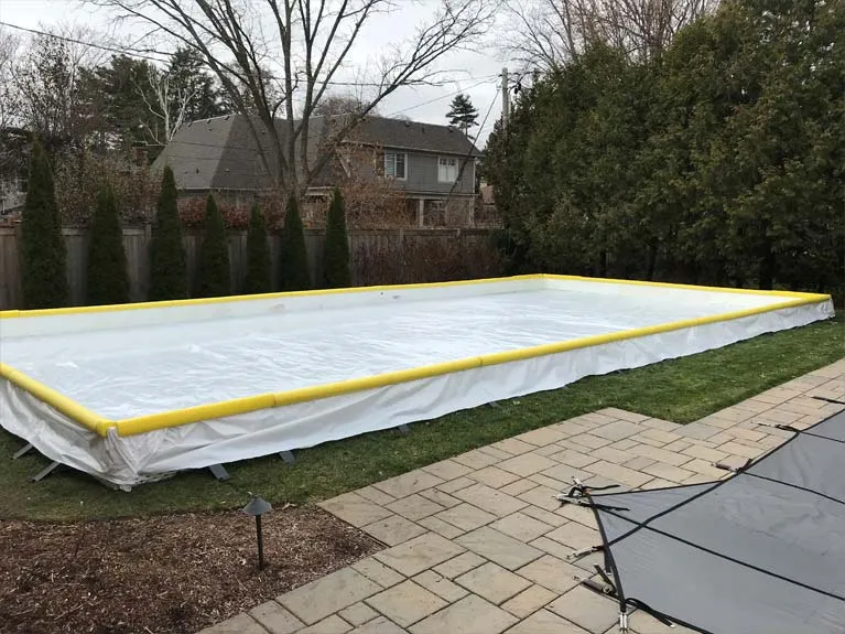 Backyard hockey in Oakville, ON