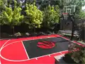 20 x 28 Backyard Basketball Court, Raptors logo, King City, ON