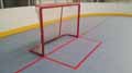 Indoor Inline Hockey Floor, Mississauga, ON