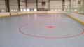 Indoor Inline Hockey Floor, SnapSports Indoor Revolution Surface