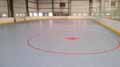 Indoor Inline Hockey Floor, SnapSports Indoor Revolution Surface