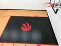 Basketball Court using Rolled Vinyl Floor and Raptors logo