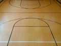 Gym using Rolled Vinyl Flooring
