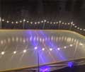 NiceRink lights