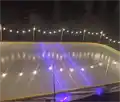 NiceRink lights