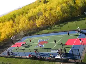 50x100 Multi-Purpose Court