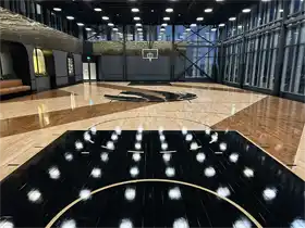 A comprehensive overview of the facility. This project by TSS blends professional sports performance with high-end interior design, featuring spectator seating and modern architectural elements that complement the geometric wood flooring.