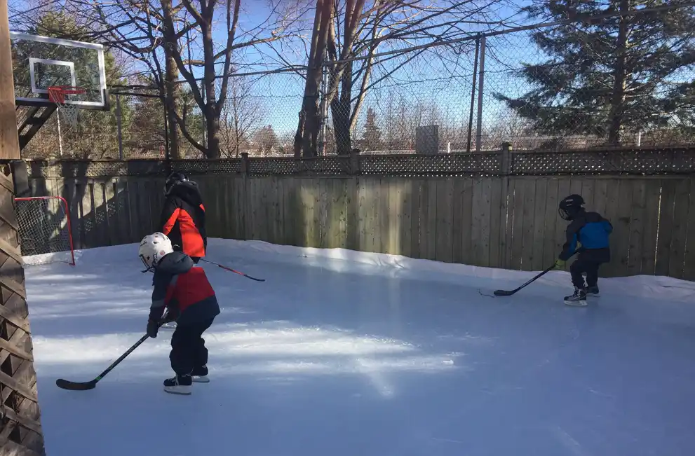 Kids playing in their backyard rink, Toronto, ON