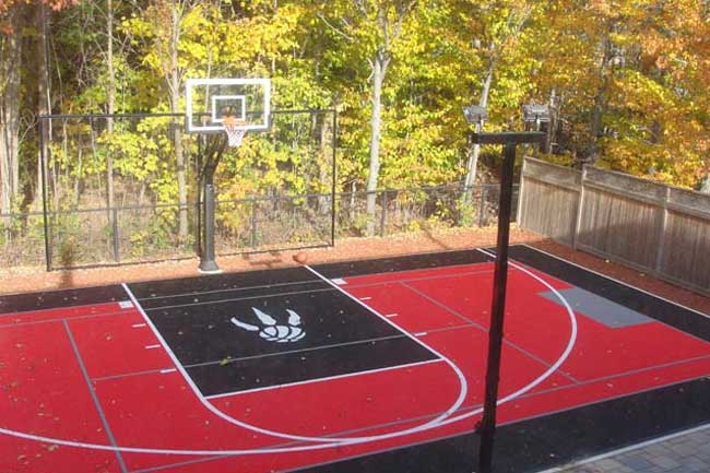 Backyard Court - 28x48 with Raptors Logo