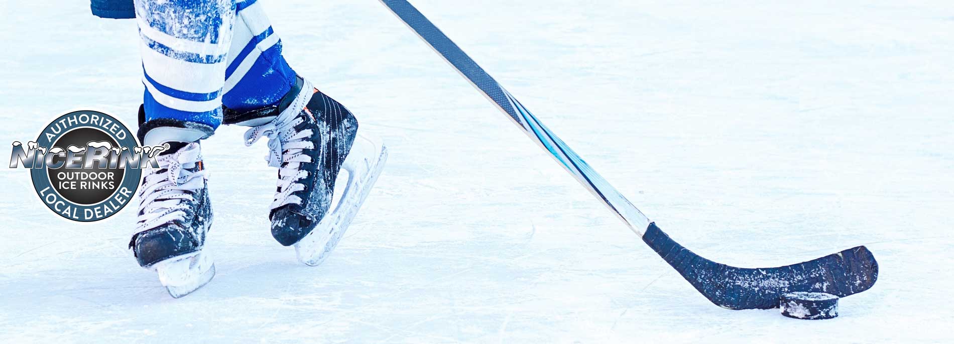 Backyard Rinks