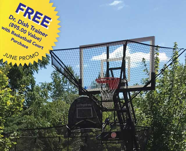 Basketball Backyard Court, with Reaptors design, in King City, ON