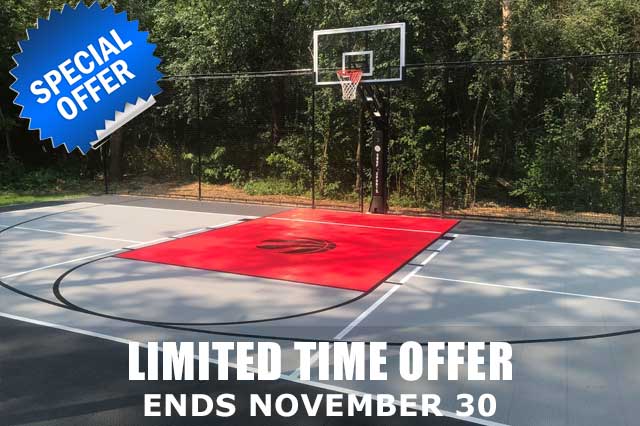 Basketball Backyard Court, with Reaptors design, in King City, ON