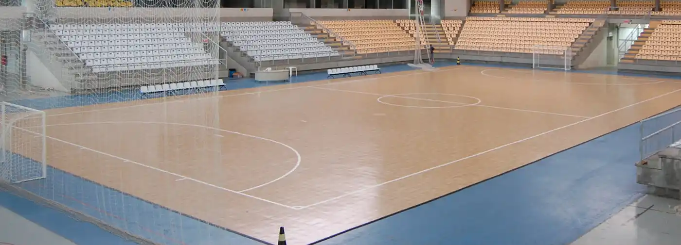 SnapSports Indoor Revolution