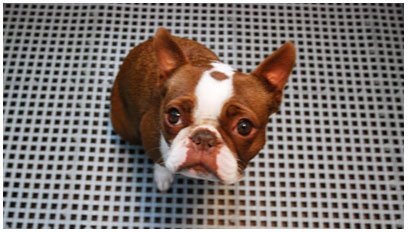 Kennel Liner